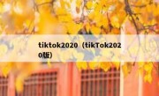 tiktok2020（tikTok2020版）