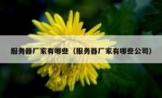 服务器厂家有哪些（服务器厂家有哪些公司）