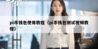 pi币钱包使用教程（pi币钱包测试视频教程）