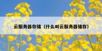 云服务器存储（什么叫云服务器储存）
