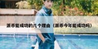 派币能成功的几个理由（派币今年能成功吗）