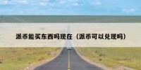 派币能买东西吗现在（派币可以兑现吗）