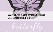 youtube怎么设置中文翻译（youtube如何翻译成中文）