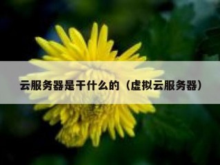云服务器是干什么的（虚拟云服务器）