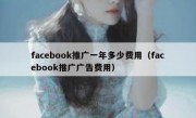 facebook推广一年多少费用（facebook推广广告费用）