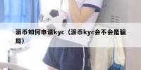 派币如何申请kyc（派币kyc会不会是骗局）