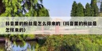抖音里的粉丝是怎么得来的（抖音里的粉丝是怎样来的）