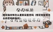 樱花指纹锁怎么重新设置密码（樱花智能锁怎么改密码和指纹）