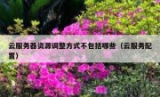 云服务器资源调整方式不包括哪些（云服务配置）