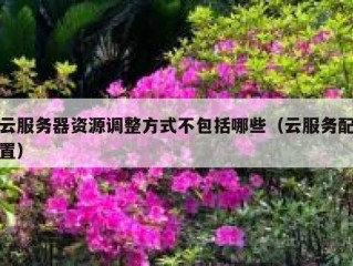 云服务器资源调整方式不包括哪些（云服务配置）