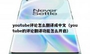 youtube评论怎么翻译成中文（youtube的评论翻译功能怎么开启）