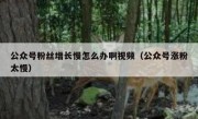 公众号粉丝增长慢怎么办啊视频（公众号涨粉太慢）