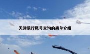 天津限行尾号查询的简单介绍