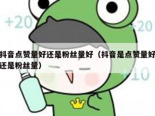 抖音点赞量好还是粉丝量好（抖音是点赞量好还是粉丝量）