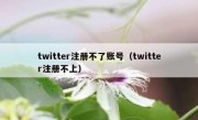 twitter注册不了账号（twitter注册不上）