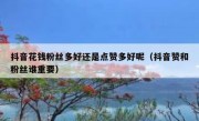 抖音花钱粉丝多好还是点赞多好呢（抖音赞和粉丝谁重要）