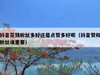 抖音花钱粉丝多好还是点赞多好呢（抖音赞和粉丝谁重要）