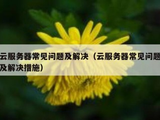 云服务器常见问题及解决（云服务器常见问题及解决措施）