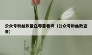 公众号粉丝数量在哪里看啊（公众号粉丝数查看）