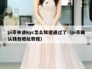 pi币申请kyc怎么知道通过了（pi币确认钱包地址教程）