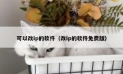 可以改ip的软件（改ip的软件免费版）