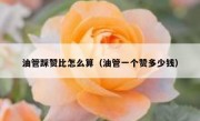 油管踩赞比怎么算（油管一个赞多少钱）