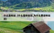 什么是粉丝（什么是粉丝团,为什么要进粉丝团）
