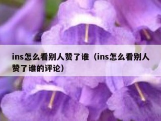 ins怎么看别人赞了谁（ins怎么看别人赞了谁的评论）