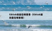 tiktok收益在哪里看（tiktok播放量在哪里看）