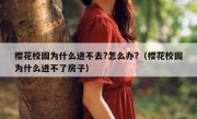 樱花校园为什么进不去?怎么办?（樱花校园为什么进不了房子）