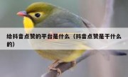 给抖音点赞的平台是什么（抖音点赞是干什么的）