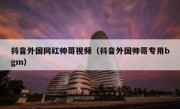 抖音外国网红帅哥视频（抖音外国帅哥专用bgm）