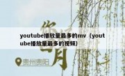 youtube播放量最多的mv（youtube播放量最多的视频）