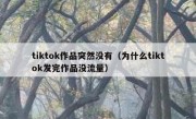 tiktok作品突然没有（为什么tiktok发完作品没流量）