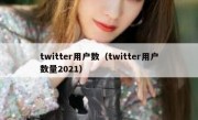 twitter用户数（twitter用户数量2021）