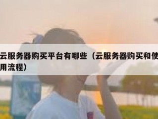 云服务器购买平台有哪些（云服务器购买和使用流程）