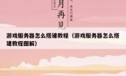 游戏服务器怎么搭建教程（游戏服务器怎么搭建教程图解）