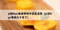pi的Kyc申请审核中状态怎样（pi币kyc审核几个月了）