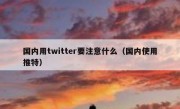 国内用twitter要注意什么（国内使用推特）