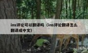 ins评论可以翻译吗（ins评论翻译怎么翻译成中文）