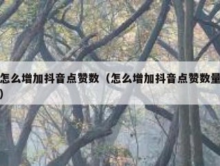怎么增加抖音点赞数（怎么增加抖音点赞数量）