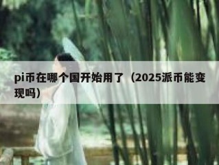 pi币在哪个国开始用了（2025派币能变现吗）