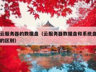 云服务器的数据盘（云服务器数据盘和系统盘的区别）
