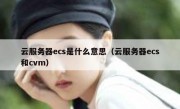 云服务器ecs是什么意思（云服务器ecs和cvm）