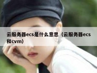 云服务器ecs是什么意思（云服务器ecs和cvm）