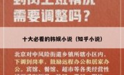 十大必看的韩娱小说（知乎小说）
