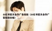 小红书官方合作广告投放（小红书官方合作广告投放价格）