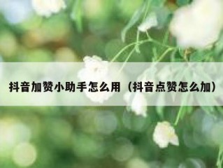 抖音加赞小助手怎么用（抖音点赞怎么加）