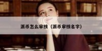 派币怎么审核（派币审核名字）