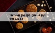 TikTok属于中国吗（tiktok和抖音什么关系）